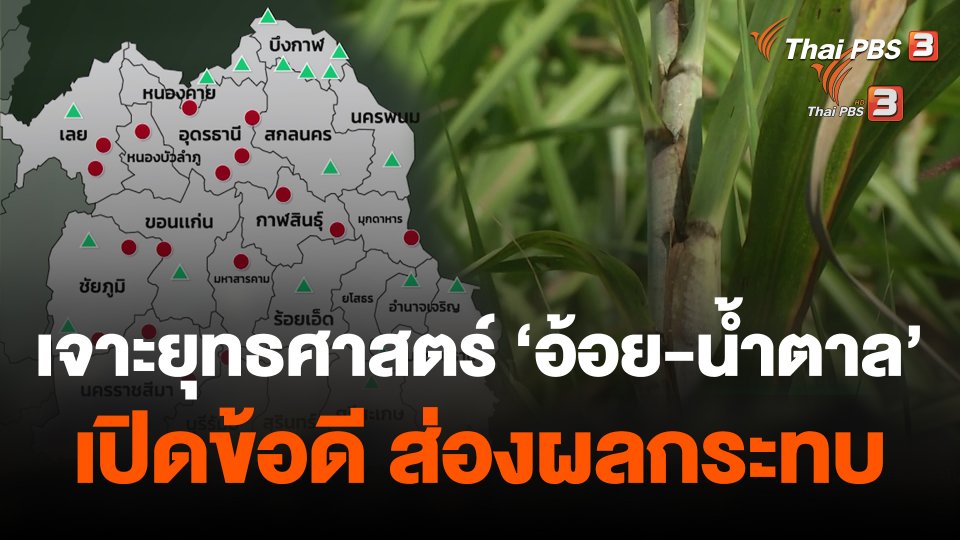 เจาะยุทธศาสตร์ "อ้อย-น้ำตาล" เปิดข้อดี ส่องผลกระทบ