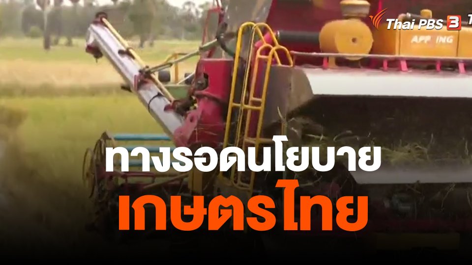 ​จับสัญญาณเศรษฐกิจ : ทางรอดนโยบายเกษตรไทย