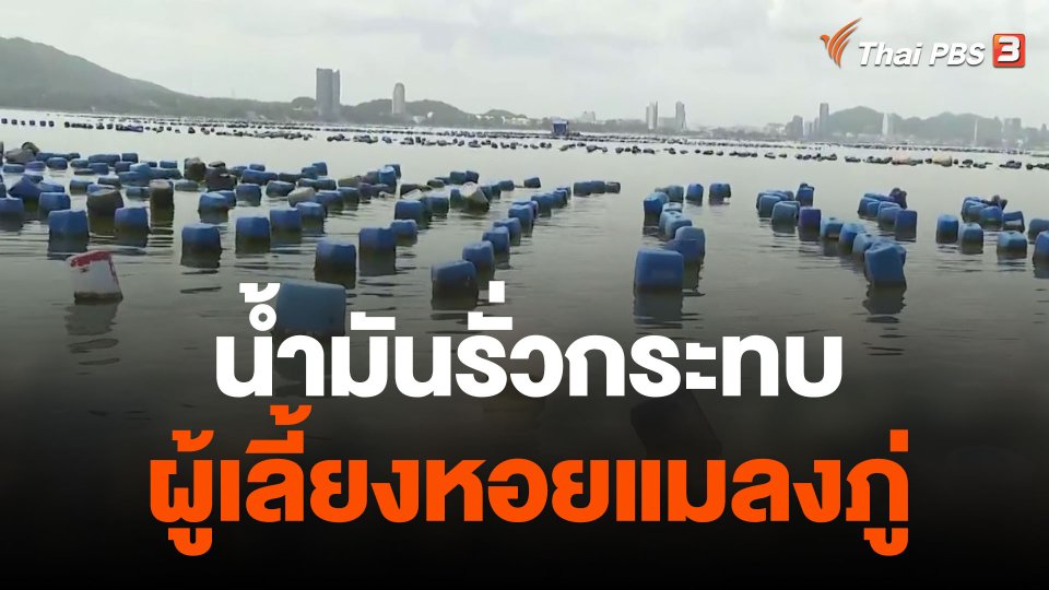 น้ำมันรั่วกระทบผู้เลี้ยงหอยแมลงภู่ จ.ชลบุรี