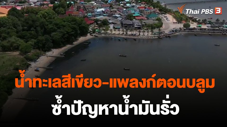 ​น้ำทะเลสีเขียว-แพลงก์ตอนบลูม ซ้ำปัญหาน้ำมันรั่ว