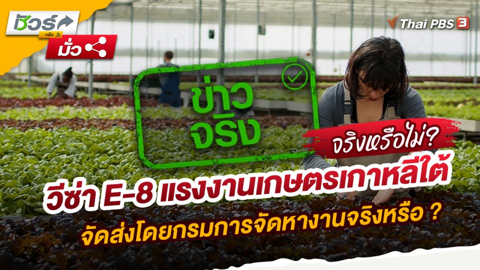 วีซ่า E-8 แรงงานเกษตรเกาหลีใต้จัดส่งโดยกรมการจัดหางานจริงหรือ ?