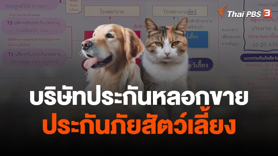 แจง​ บ.ประกันลักลอบขายประกันภัยสัตว์เลี้ยงเถื่อน