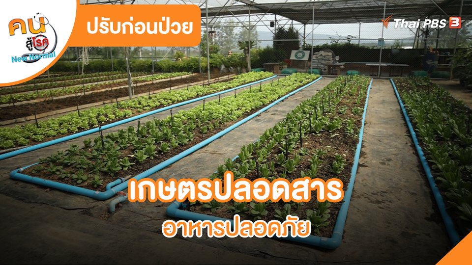 ปรับก่อนป่วย : เกษตรปลอดสารอาหารปลอดภัย