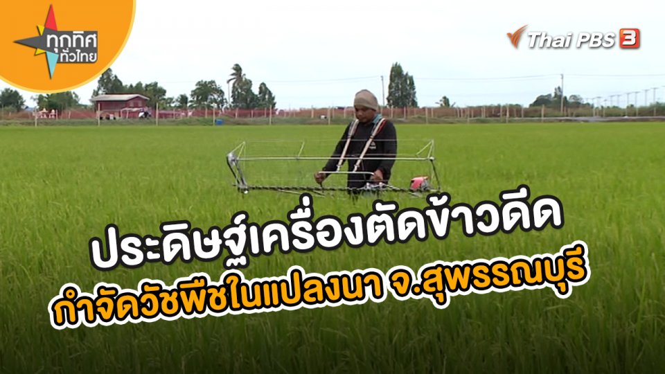 ​อาชีพทั่วไทย : ประดิษฐ์เครื่องตัดข้าวดีด กำจัดวัชพืชในแปลงนา จ.สุพรรณบุรี