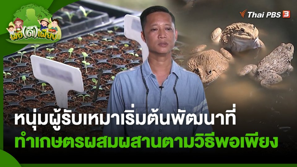 พอดีพอเพียง : หนุ่มผู้รับเหมาเริ่มต้นพัฒนาที่ทำเกษตรผสมผสานตามวิธีพอเพียง