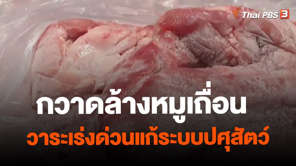 จับสัญญาณเศรษฐกิจ : กวาดล้างหมูเถื่อน วาระเร่งด่วนแก้ระบบปศุสัตว์