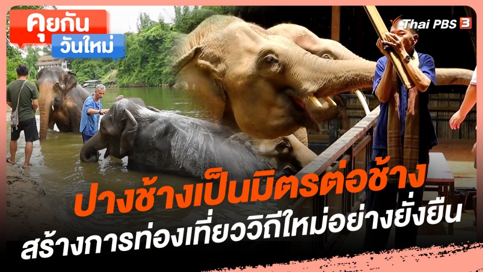 คุยกันวันใหม่ : ปางช้างเป็นมิตรต่อช้าง สร้างการท่องเที่ยววิถีใหม่อย่างยั่งยืน