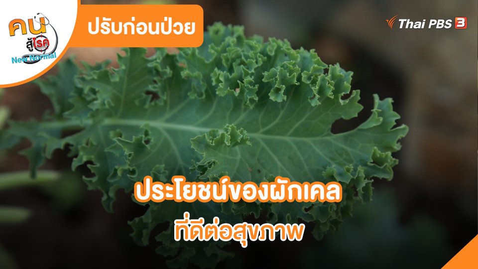 ประโยชน์ของผักเคลที่ดีต่อสุขภาพ