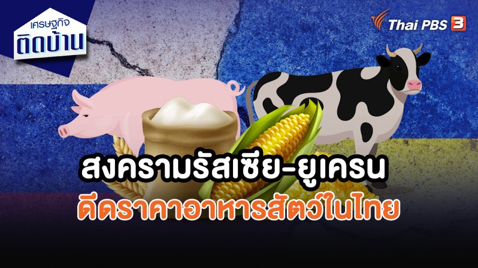 เศรษฐกิจน่ารู้ : สงครามรัสเซีย-ยูเครน ดีดราคาอาหารสัตว์ในไทย