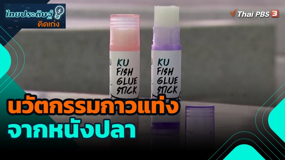 ไทยประดิษฐ์คิดเก่ง : นวัตกรรมกาวแท่งจากหนังปลา