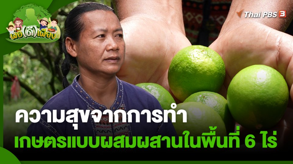 พอดีพอเพียง : ความสุขจากการทำเกษตรแบบผสมผสานในพื้นที่ 6 ไร่