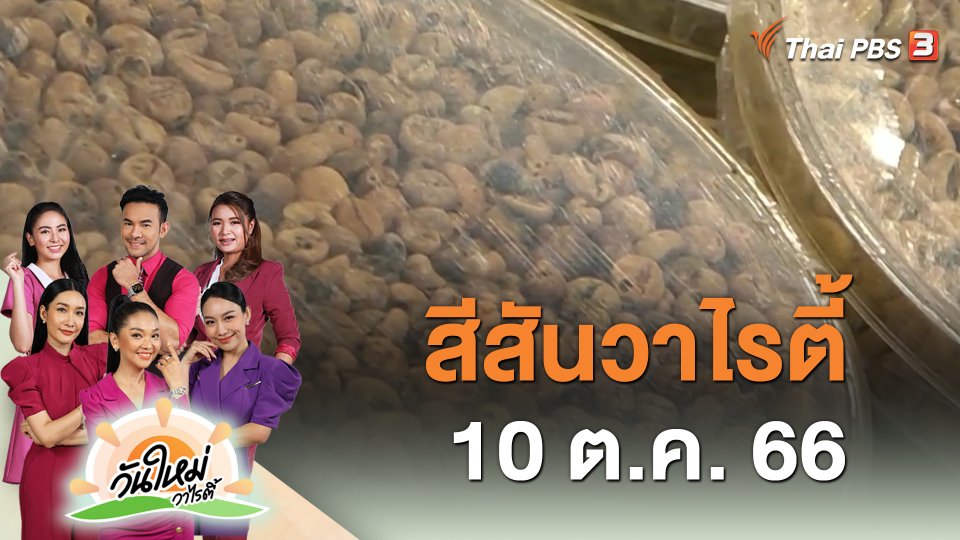 สีสันวาไรตี้ (10 ต.ค. 66)