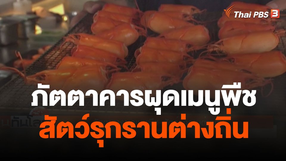 ภัตตาคารผุดเมนูพืช - สัตว์รุกรานต่างถิ่น
