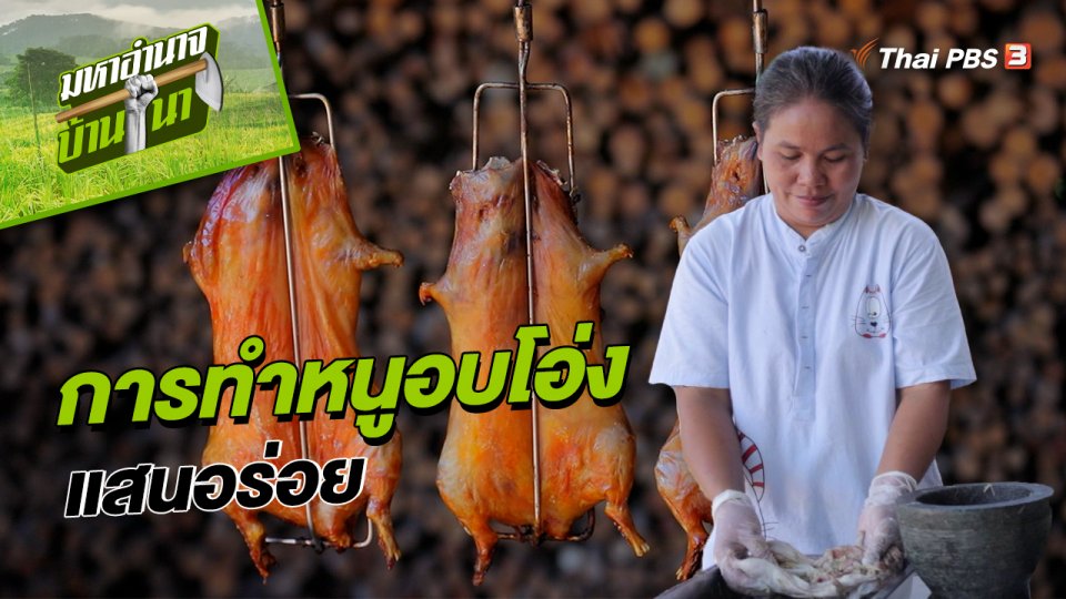 สูตรลับฉบับบ้านนา : การทำหนูอบโอ่งแสนอร่อย