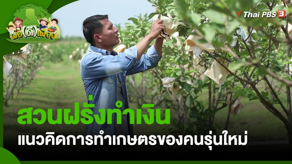 พอดีพอเพียง : สวนฝรั่งทำเงิน แนวคิดการทำเกษตรของคนรุ่นใหม่