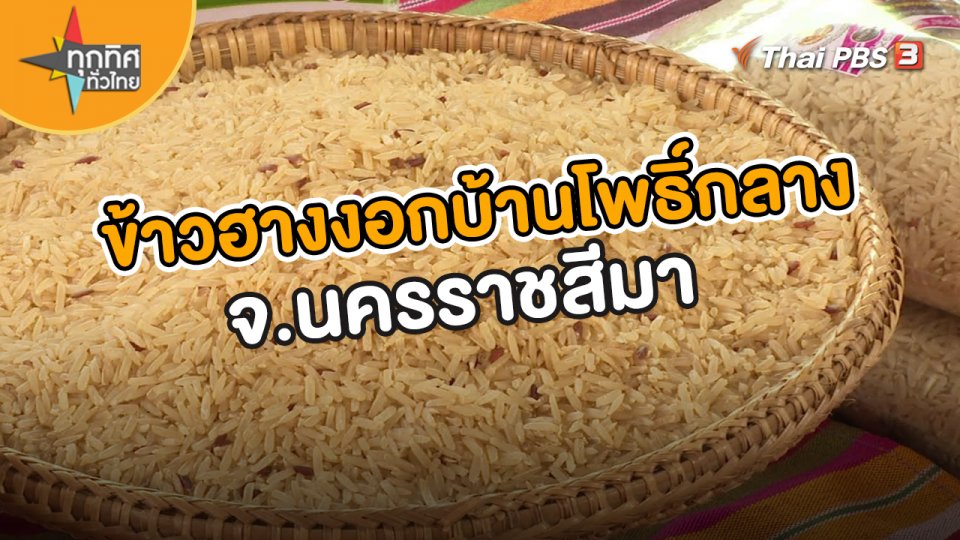 ​อาชีพทั่วไทย : ข้าวฮางงอกบ้านโพธิ์กลาง จ.นครราชสีมา