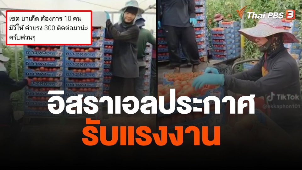 อิสราเอลประกาศรับแรงงาน