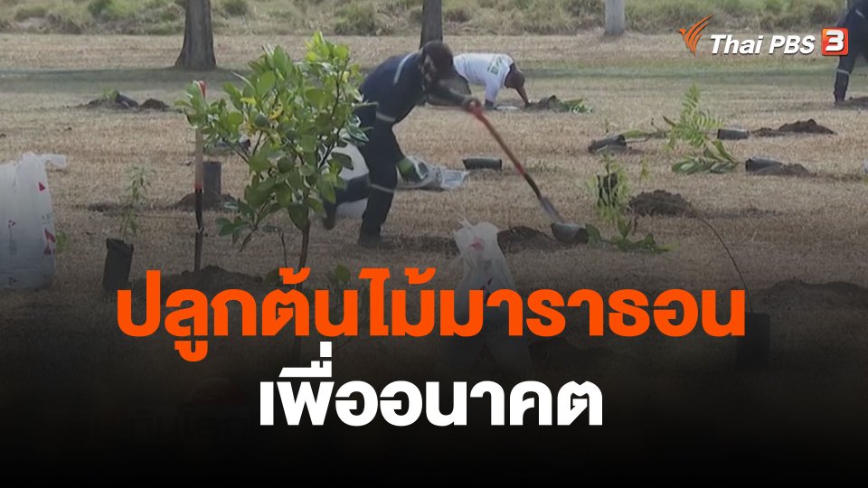 ปลูกต้นไม้มาราธอนเพื่ออนาคต