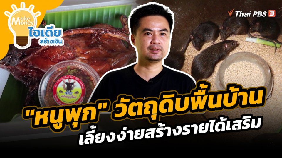 Make Money ไอเดียสร้างเงิน : หนูพุกวัตถุดิบพื้นบ้าน เลี้ยงง่ายสร้างรายได้เสริม