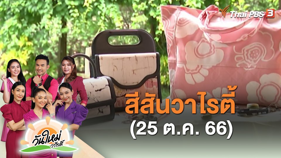 สีสันวาไรตี้ (25 ต.ค. 66)