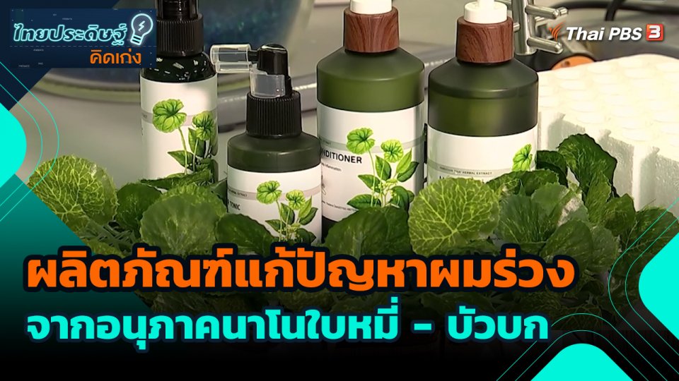 ไทยประดิษฐ์คิดเก่ง : ผลิตภัณฑ์แก้ปัญหาผมร่วงจากอนุภาคนาโนใบหมี่ - บัวบก