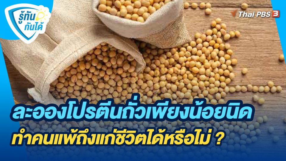 ​รู้ทันกันได้ : ละอองโปรตีนถั่วเพียงน้อยนิด ทำคนแพ้ถึงแก่ชีวิตได้หรือไม่ ?