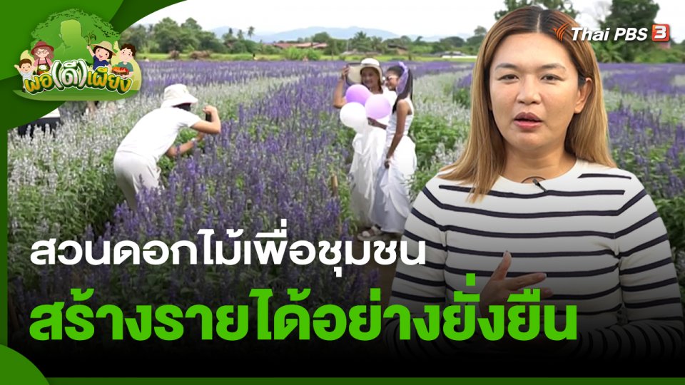 ​พอดีพอเพียง : สวนดอกไม้เพื่อชุมชน สร้างรายได้อย่างยั่งยืน จ.เชียงใหม่