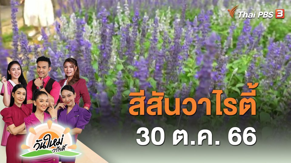 ​สีสันวาไรตี้ (30 ต.ค. 66)