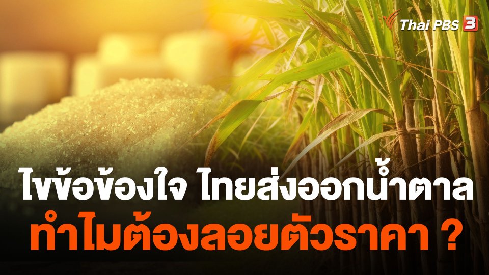 ไขข้อข้องใจ ไทยส่งออกน้ำตาล ทำไมต้องลอยตัวราคา ?