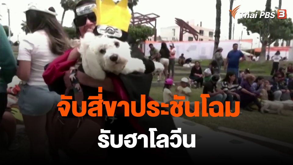 จับสี่ขาประชันโฉมรับฮาโลวีน