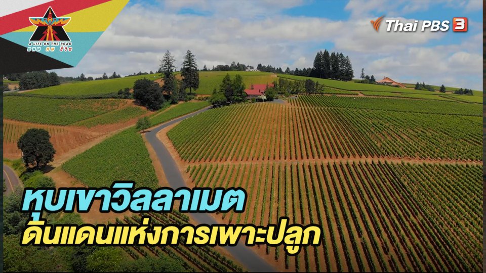 หุบเขาวิลลาเมตดินแดนแห่งการเพาะปลูก