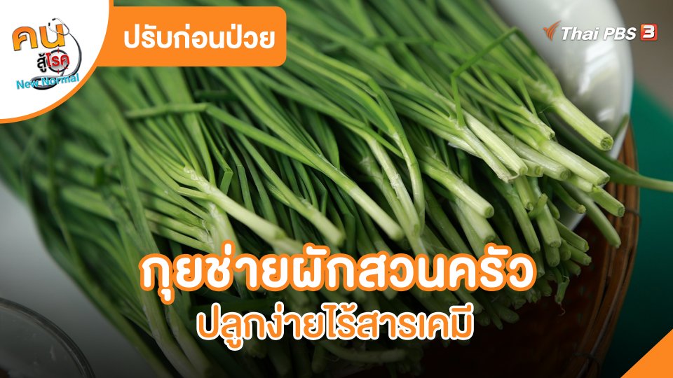 ปรับก่อนป่วย : กุยช่ายผักสวนครัวปลูกง่ายไร้สารเคมี