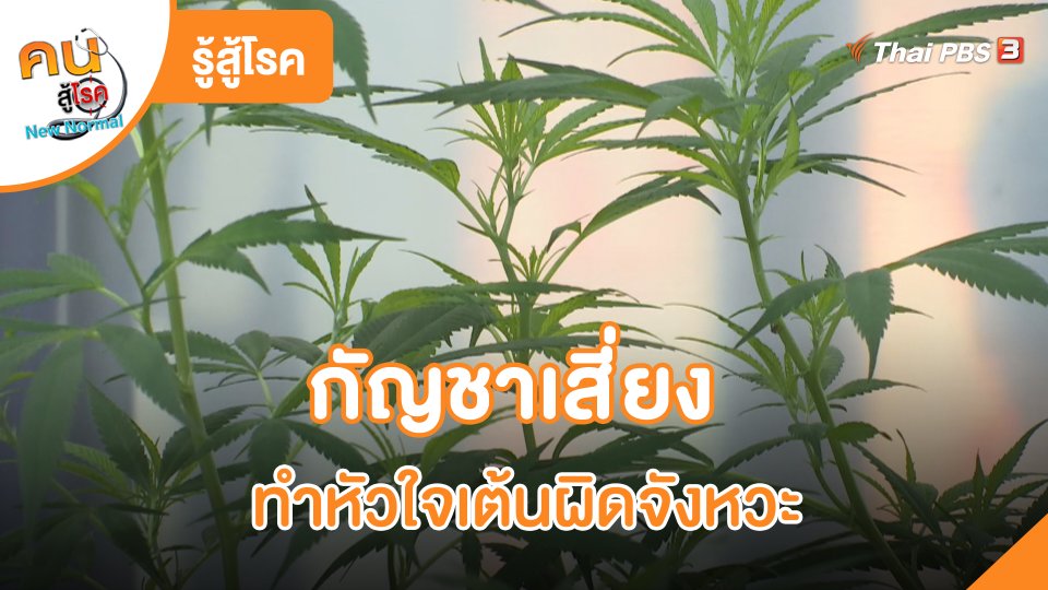รู้สู้โรค : กัญชาเสี่ยงทำหัวใจเต้นผิดจังหวะ