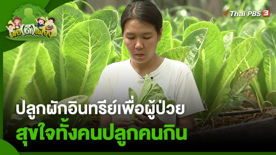 ปลูกผักอินทรีย์เพื่อผู้ป่วย สุขใจทั้งคนปลูกคนกิน