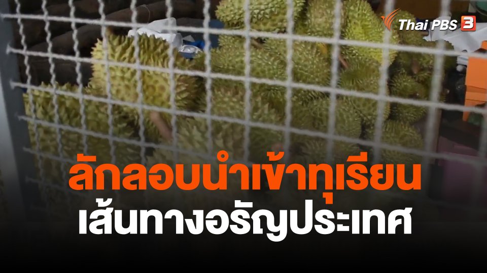 ลักลอบนำเข้าทุเรียนเส้นทางอรัญประเทศ