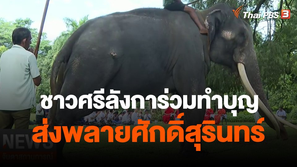 ​ชาวศรีลังการ่วมทำบุญส่งพลายศักดิ์สุรินทร์
