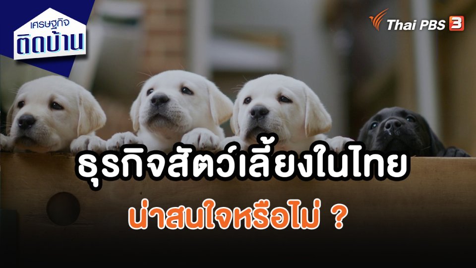 ธุรกิจสัตว์เลี้ยงในไทยน่าสนใจหรือไม่ ?