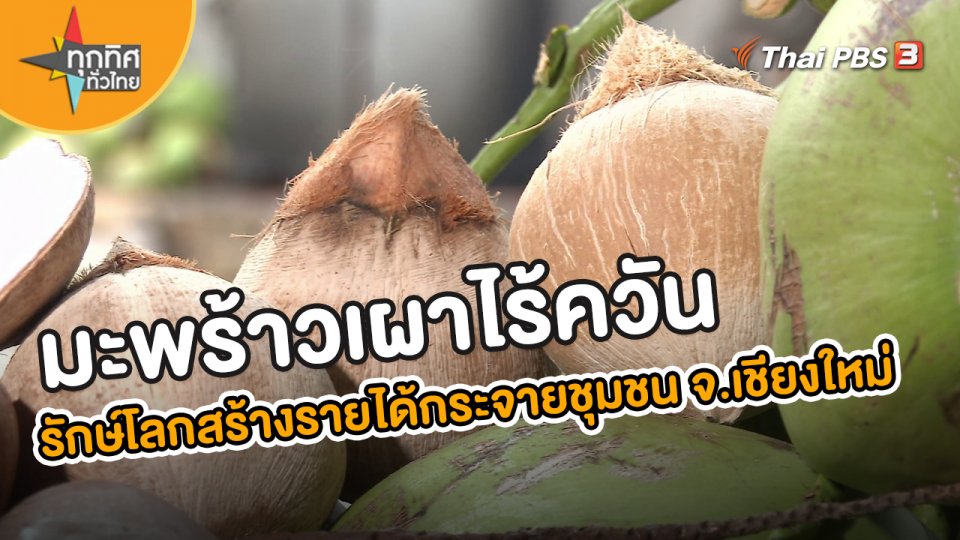 อาชีพทั่วไทย : มะพร้าวเผาไร้ควัน รักษ์โลกสร้างรายได้กระจายชุมชน จ.เชียงใหม่