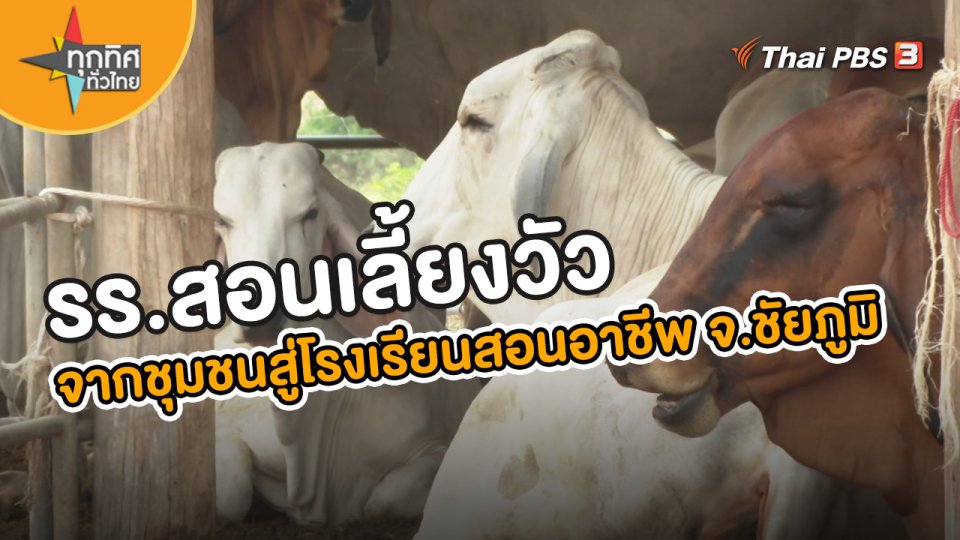 ​อาชีพทั่วไทย : รร.สอนเลี้ยงวัวจากชุมชนสู่โรงเรียนสอนอาชีพ จ.ชัยภูมิ