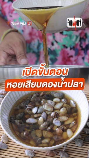 เปิดขั้นตอน หอยเสียบดองน้ำปลา