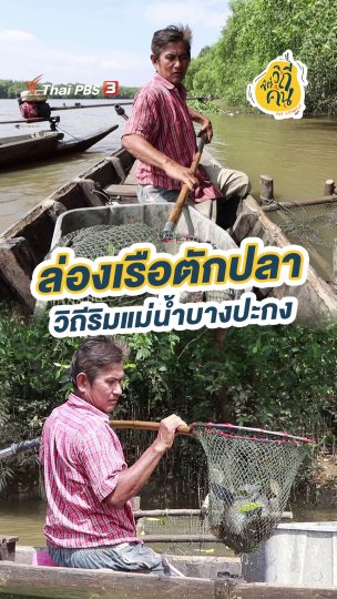 ล่องเรือตักปลา วิถีริมแม่น้ำบางปะกง