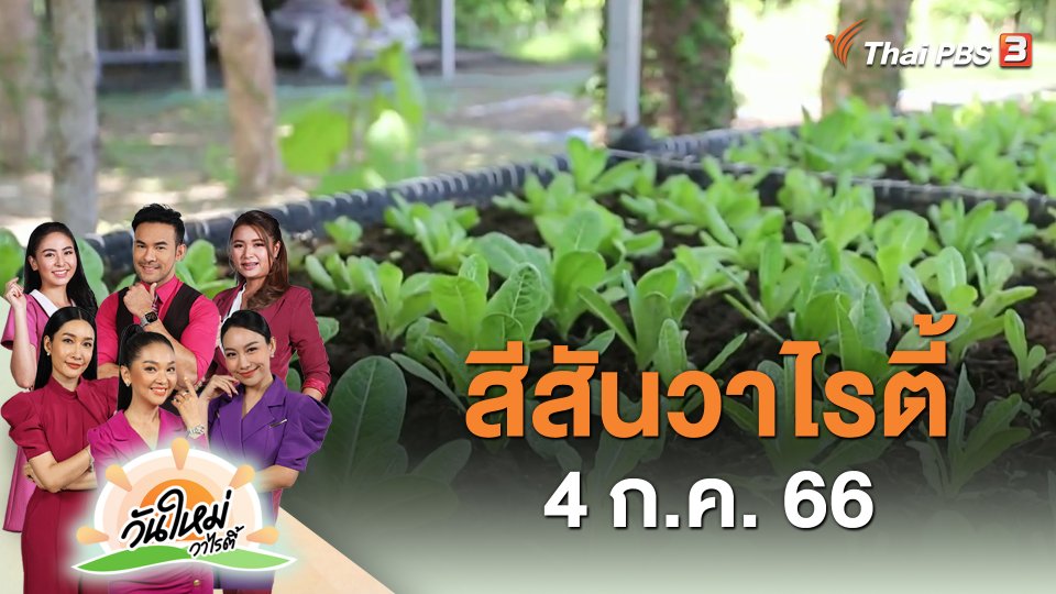 สีสันวาไรตี้ (4 ก.ค. 66)