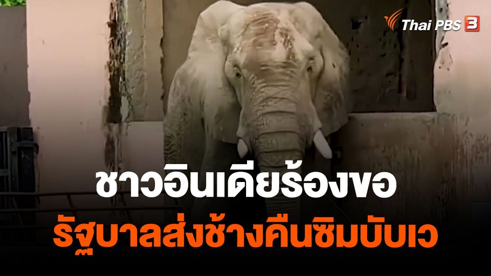 ชาวอินเดียร้องขอรัฐบาลส่งช้างคืนซิมบับเว