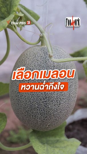 เลือกเมลอน หวานฉ่ำถึงใจ