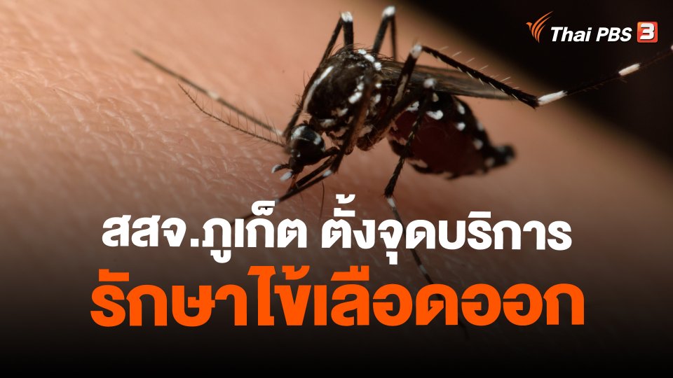 ​สสจ.ภูเก็ต ตั้งจุดบริการรักษาไข้เลือดออก
