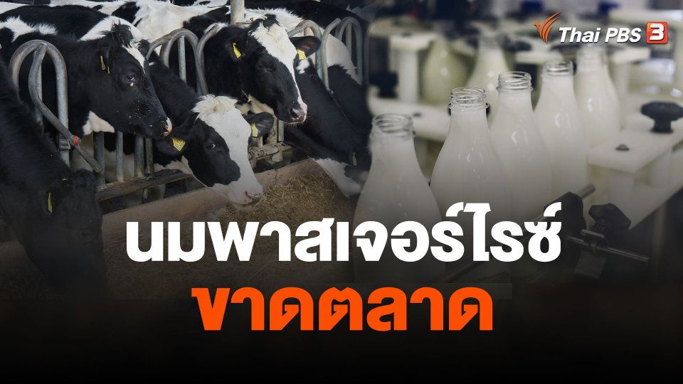 ผลกระทบนมพาสเจอร์ไรซ์ขาดตลาด