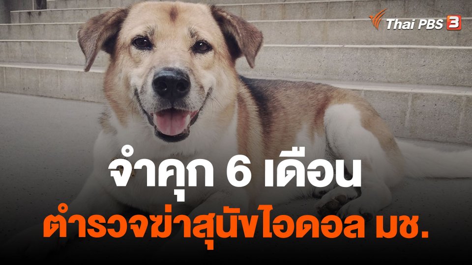จำคุก 6 เดือนตำรวจฆ่าสุนัขไอดอล มช.