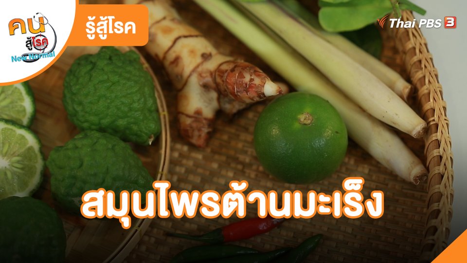 รู้สู้โรค : สมุนไพรต้านมะเร็ง