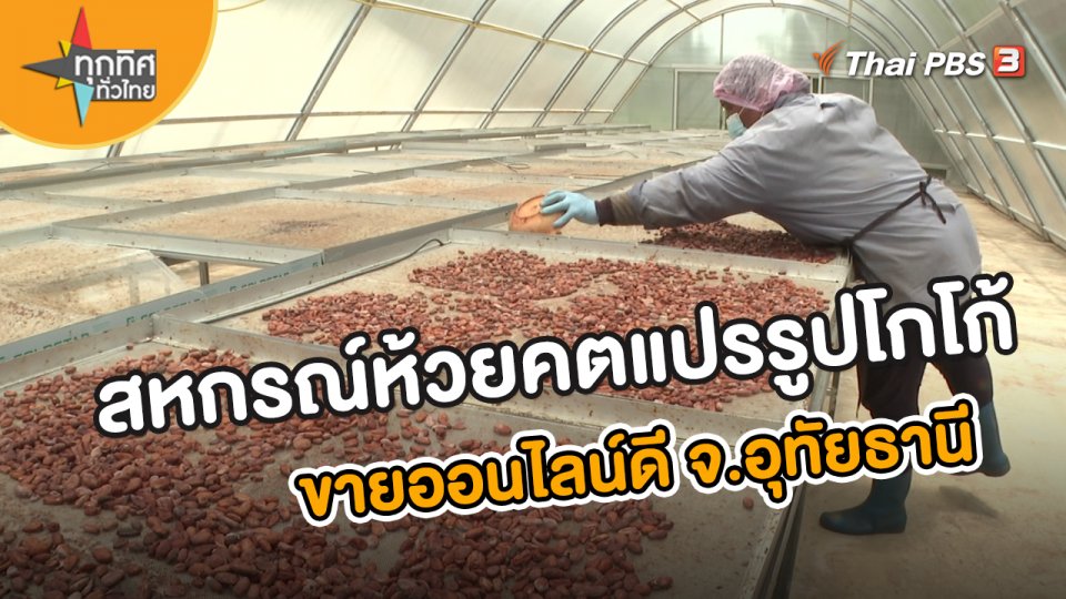 อาชีพทั่วไทย : สหกรณ์ห้วยคตแปรรูปโกโก้ขายออนไลน์ดี จ.อุทัยธานี