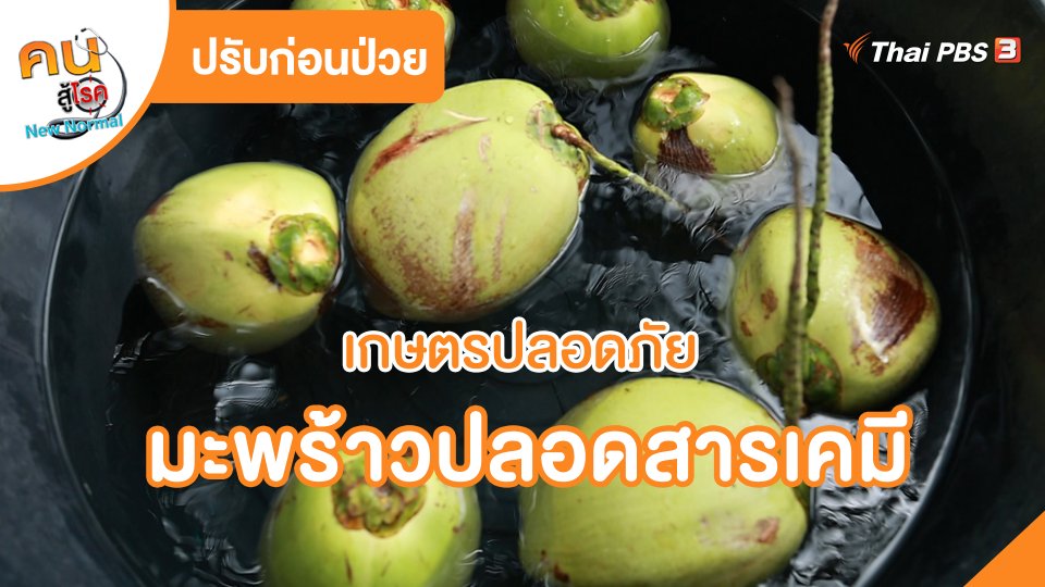 ปรับก่อนป่วย : เกษตรปลอดภัย มะพร้าวปลอดสารเคมี จ.ราชบุรี